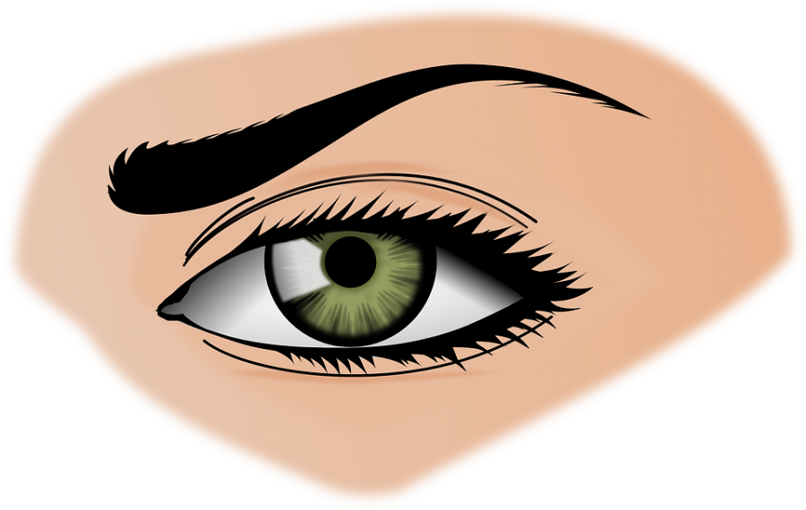 https://pixabay.com/en/iris-eye-eyebrows-female-green-154659/