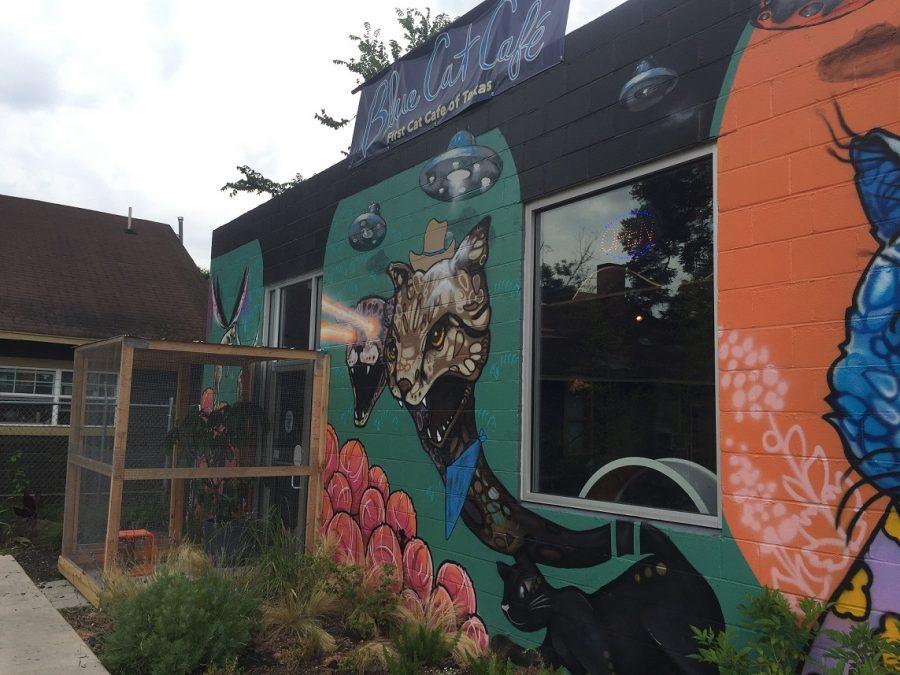 Wandering Wednesday: Blue Cat Cafe