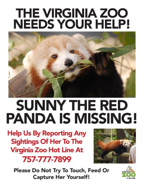Luke A. passes out fliers to bring awareness to the lost red panda.
